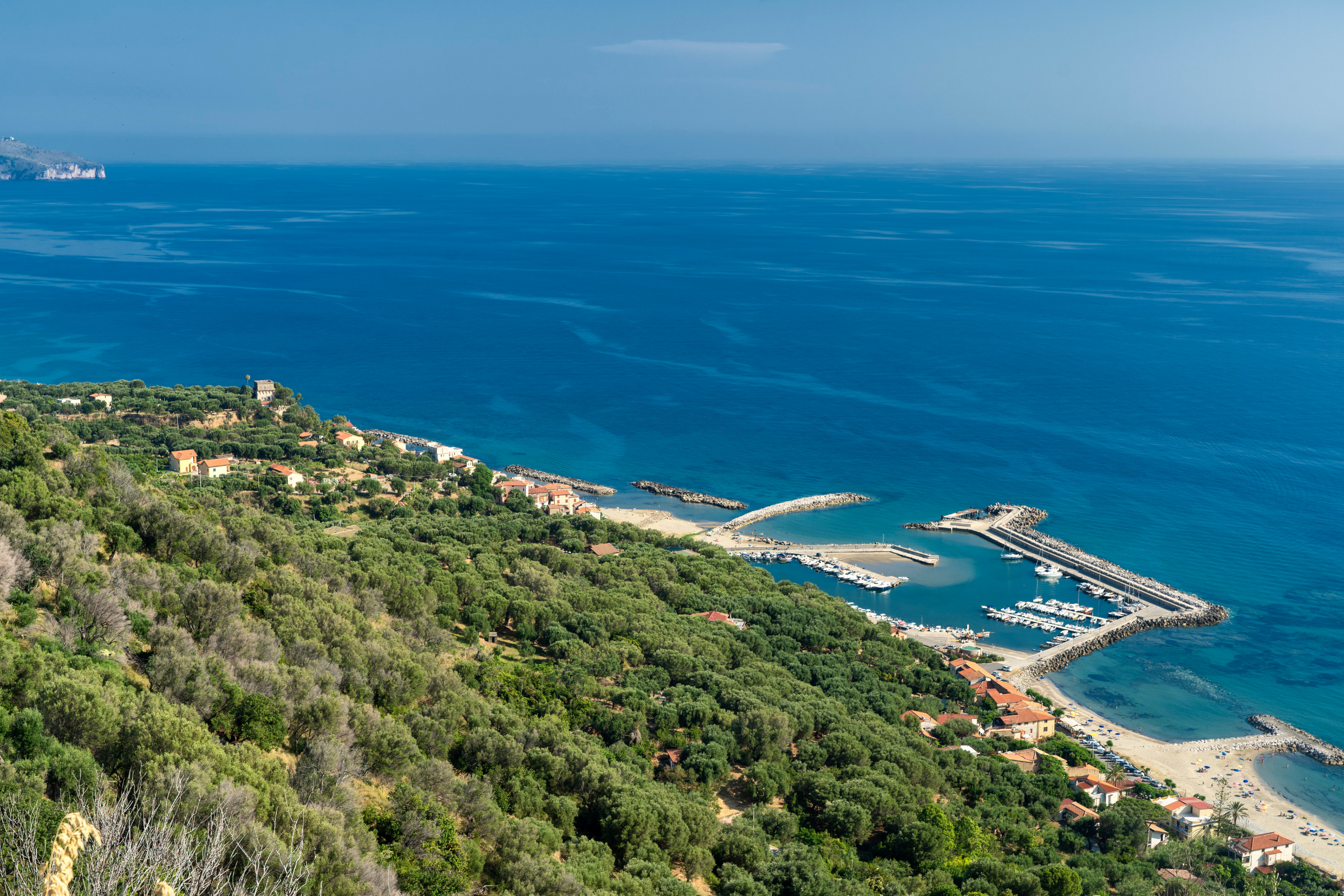 Pisciotta[1].webp